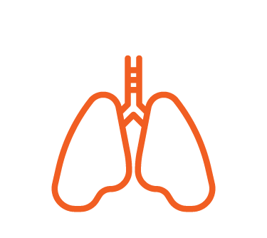Icon of the lungs, Lung Tests